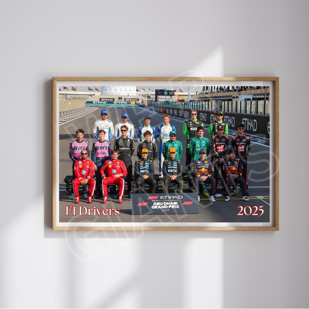 F1 2025 Racing Drivers Portrait Art Poster 17X11 (End of the Season Group Photo)